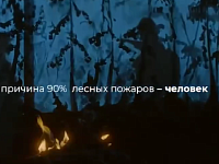 Лесные пожары легче предотвратить, чем потушить