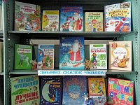 Новый год среди книг