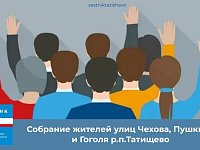Собрание жителей улиц Чехова, Пушкина и Гоголя р.п.Татищево