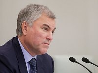 Володин - областным депутатам: «Каких команд-то ждете?»