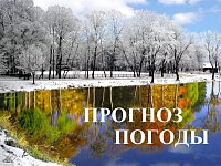 На 20 февраля