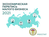 В Саратовской области полным ходом идет экономическая перепись малого бизнеса