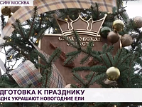 На федеральном телеканале показали ель Саратовской области на выставке "Россия" на ВДНХ