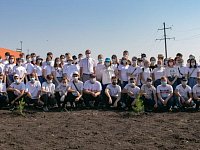 Аллея выпускников