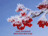 Прогноз погоды на 11 января 2023 года