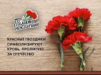 Саратовская область присоединится к акции «Красная гвоздика»