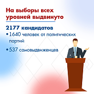 Выборы в Саратовской области