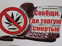 Сообщи, где торгуют смертью