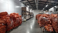В Краснокутском районе Губернатор Валерий Радаев посетил предприятие по переработке сельхозпродукции