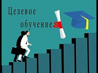 Володин о целевом обучении студентов: вносятся изменения в закон, чтобы уйти от используемой «блатной конструкции»