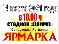 Сельскохозяйственная ярмарка в Татищево