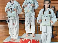 Открытый турнир «Лига чемпионов» по карате WKC