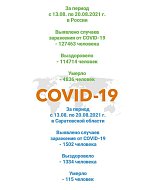 Статистика по коронавирусу