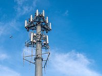 Жителей Татищевского района приглашают принять участие в голосовании