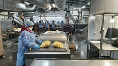 В Краснокутском районе Губернатор Валерий Радаев посетил предприятие по переработке сельхозпродукции