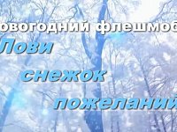 Новогодний флешмоб «Лови снежок пожеланий!»